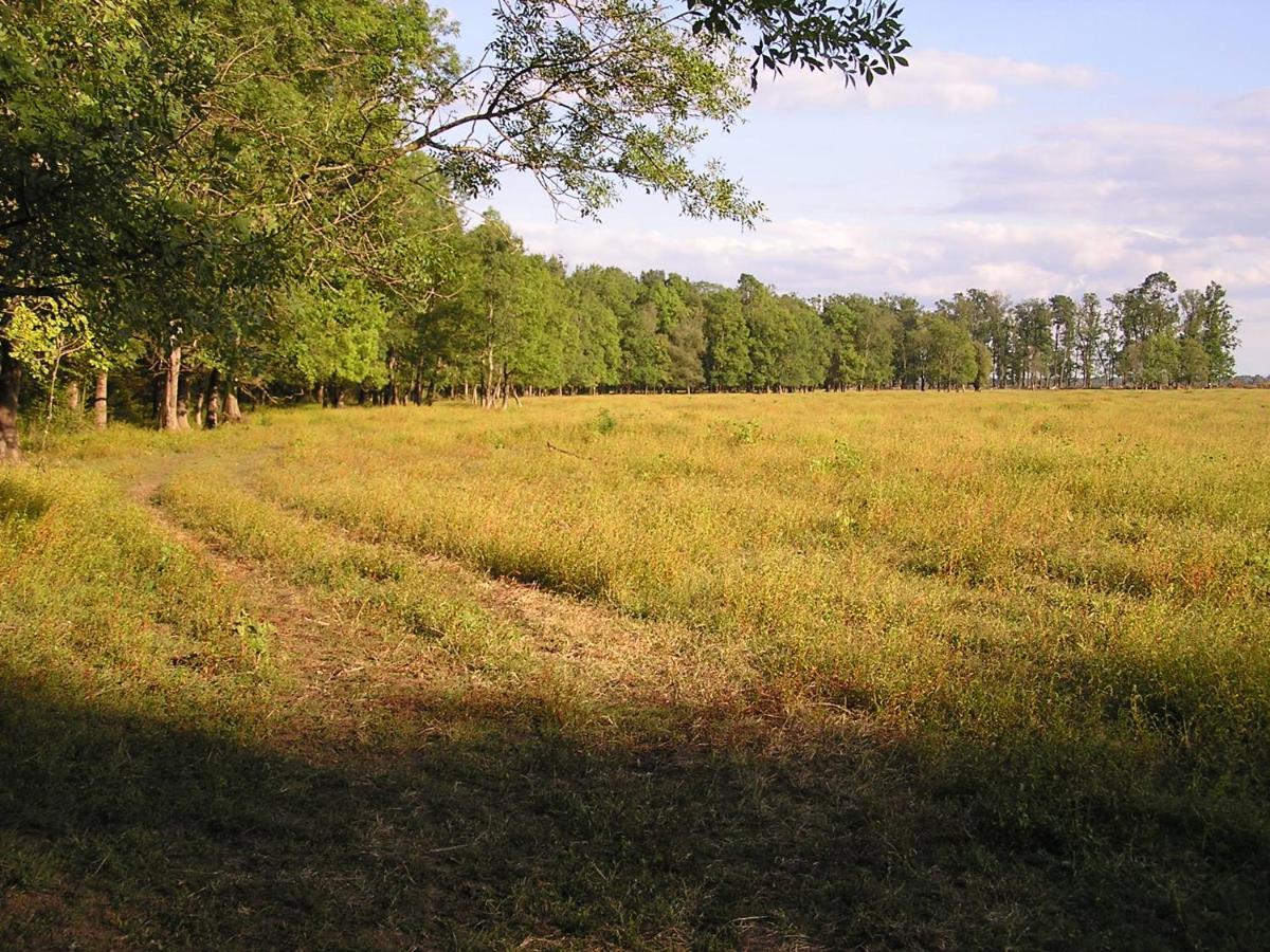 Гостевой дом Rural Tourism Family Ravlic Muzilovcica Экстерьер фото