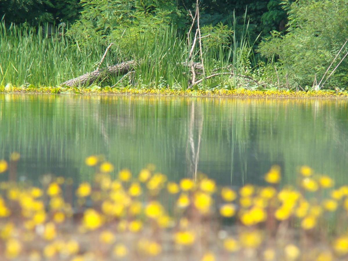 Гостевой дом Rural Tourism Family Ravlic Muzilovcica Экстерьер фото