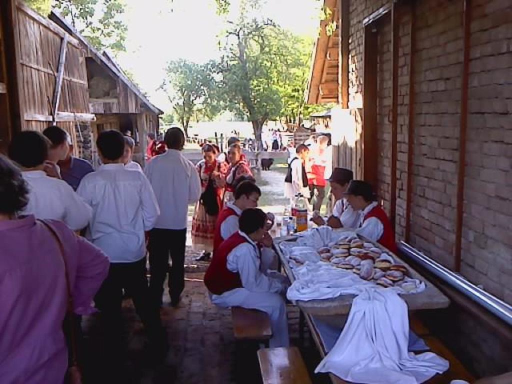 Гостевой дом Rural Tourism Family Ravlic Muzilovcica Экстерьер фото