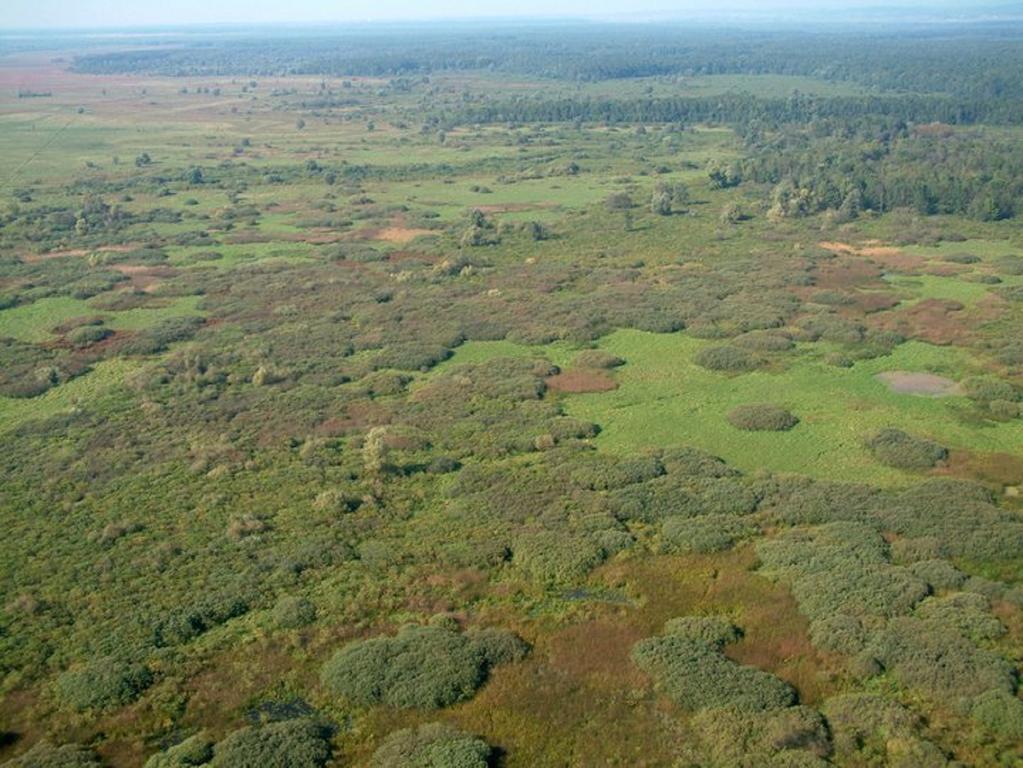 Гостевой дом Rural Tourism Family Ravlic Muzilovcica Экстерьер фото