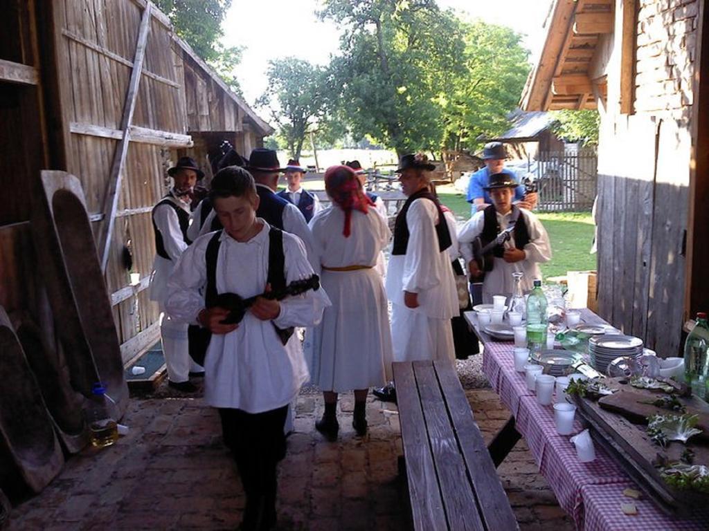 Гостевой дом Rural Tourism Family Ravlic Muzilovcica Экстерьер фото