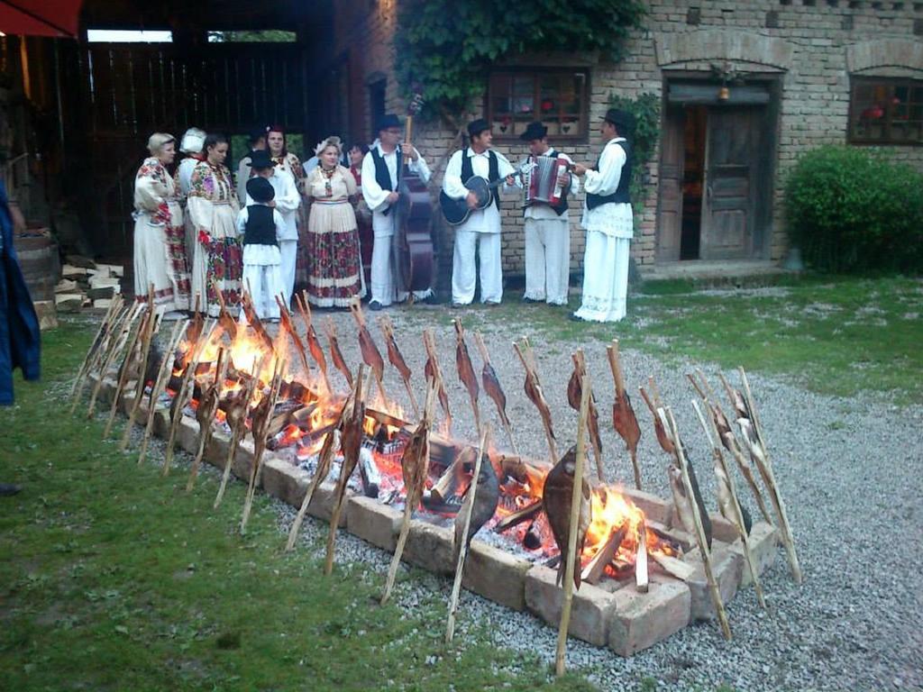 Гостевой дом Rural Tourism Family Ravlic Muzilovcica Экстерьер фото